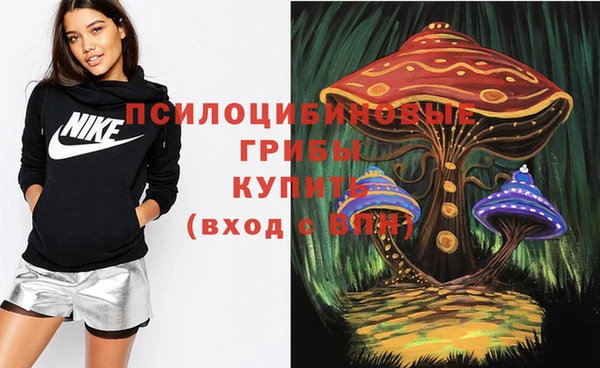 прущая мука Каменск-Шахтинский